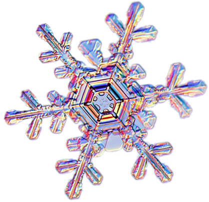 a flake