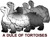 zenoTort.jpg